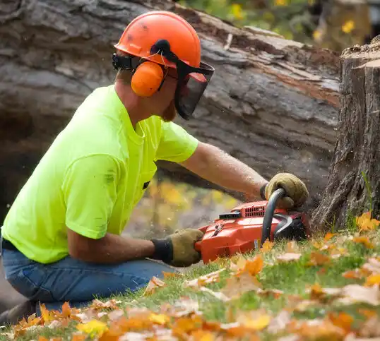 tree services Cosmos